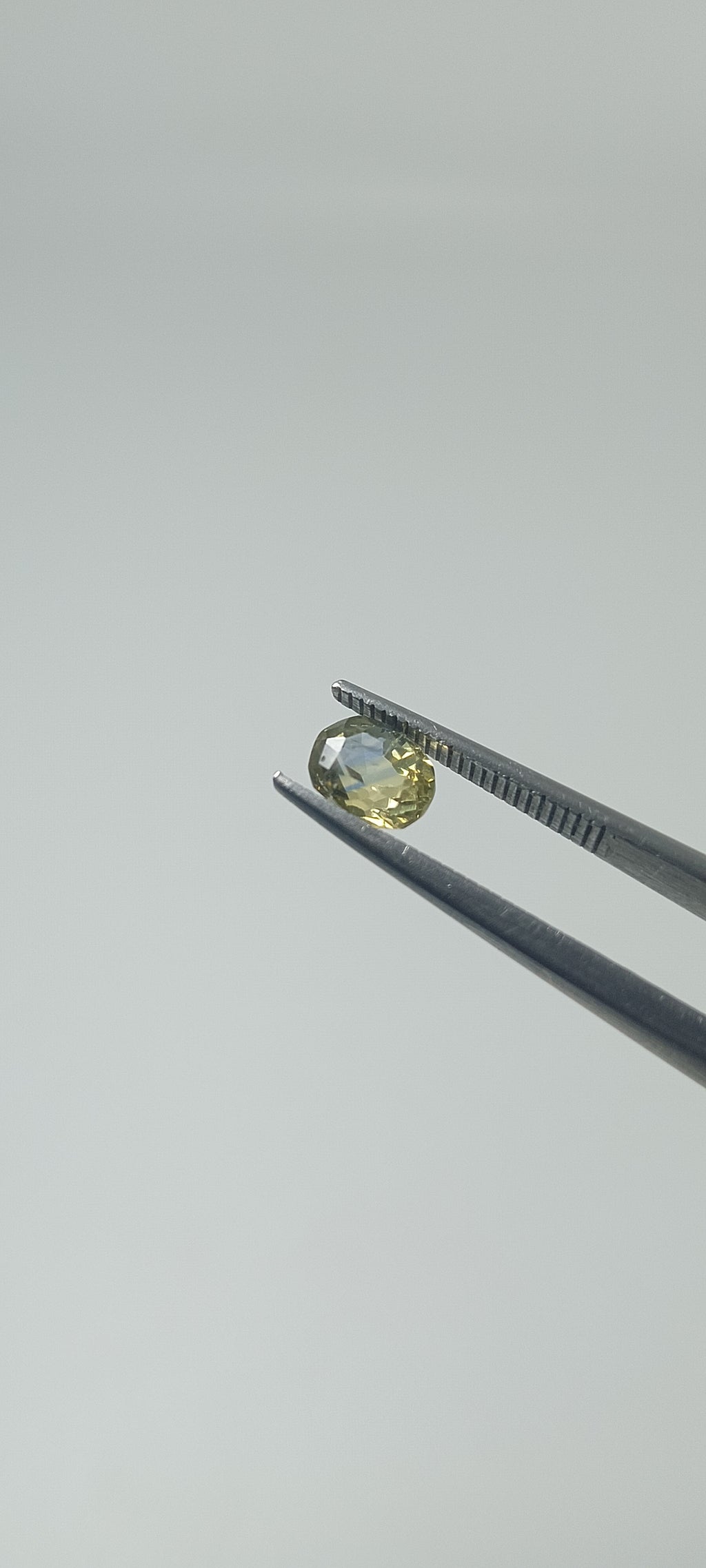 Natural Bi-Colour Sapphire (Pitambari) – 1.25 Cts | Yellow & Blue Sapphire | Sri Lankan Gem | Top Quality | Certified