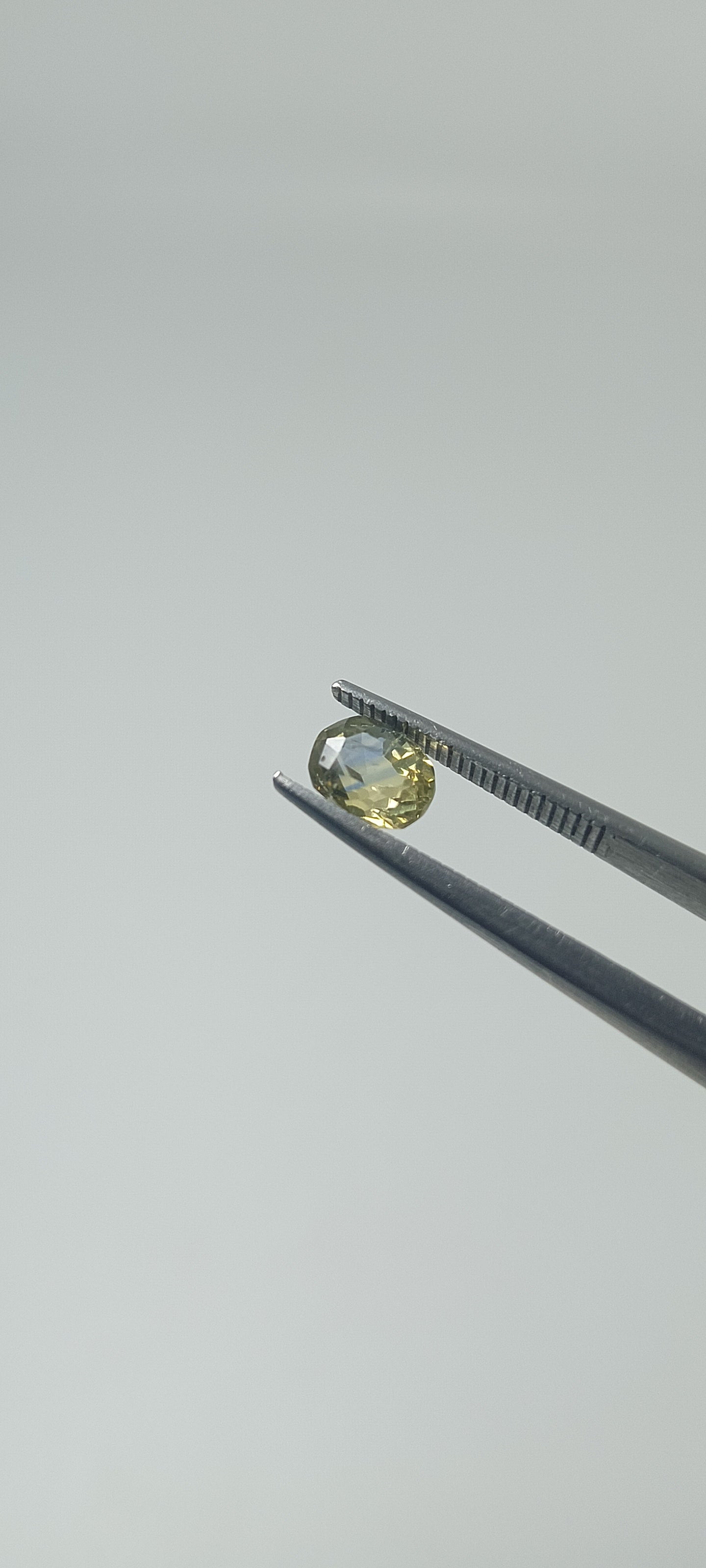 Natural Bi-Colour Sapphire (Pitambari) – 1.25 Cts | Yellow & Blue Sapphire | Sri Lankan Gem | Top Quality | Certified