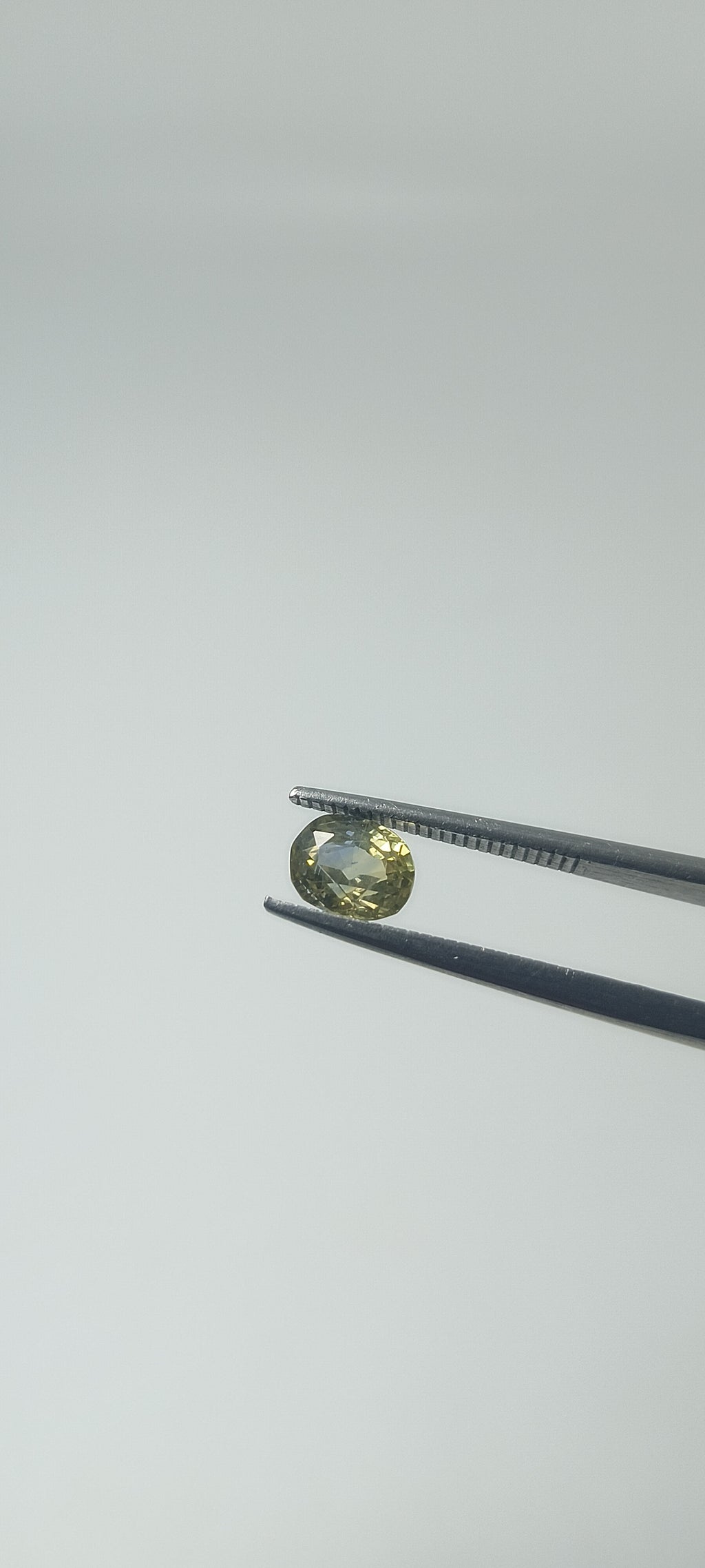 Natural Bi-Colour Sapphire (Pitambari) – 1.25 Cts | Yellow & Blue Sapphire | Sri Lankan Gem | Top Quality | Certified