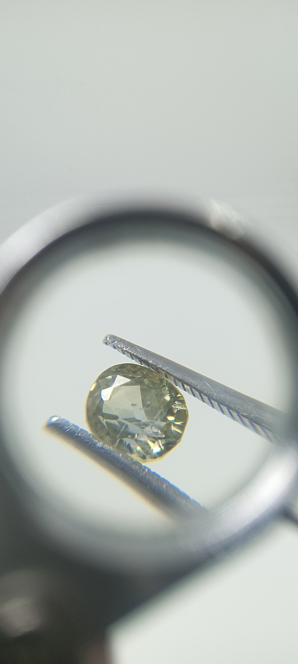 Natural Bi-Colour Sapphire (Pitambari) – 1.25 Cts | Yellow & Blue Sapphire | Sri Lankan Gem | Top Quality | Certified