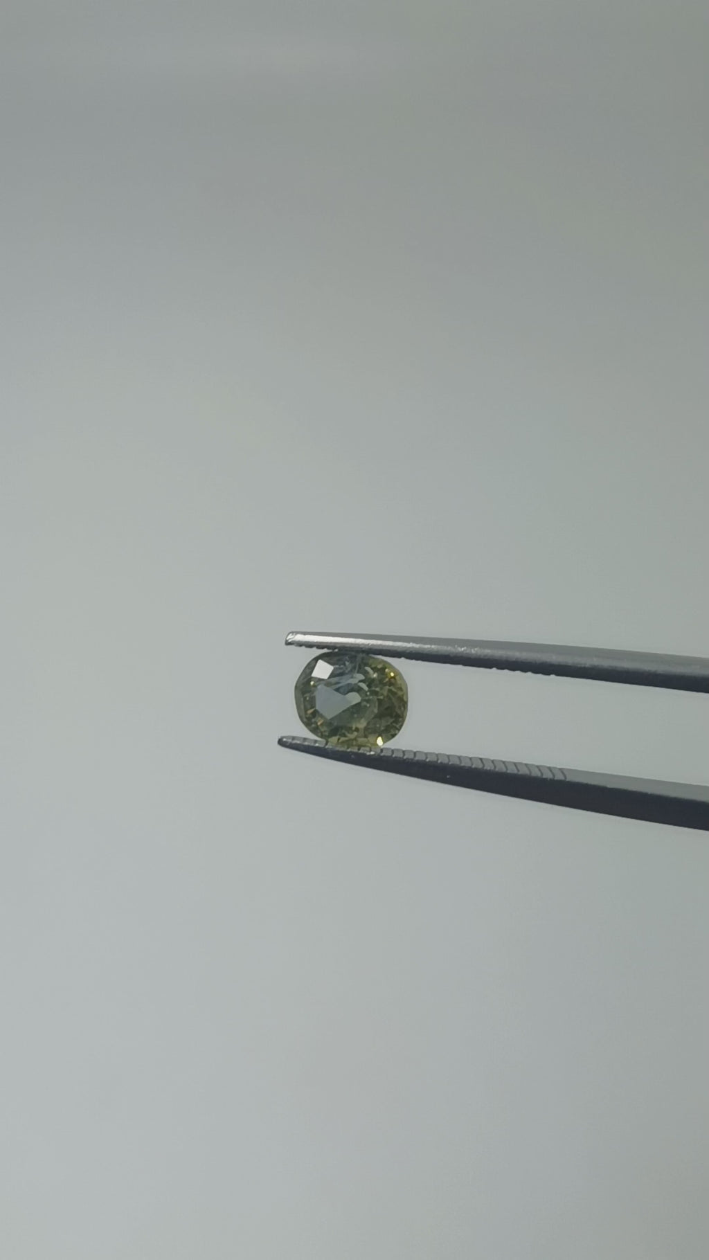 Natural Bi-Colour Sapphire (Pitambari) – 1.25 Cts | Yellow & Blue Sapphire | Sri Lankan Gem | Top Quality | Certified